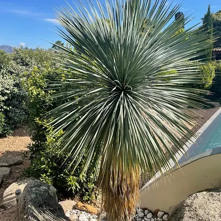 Porto-vecchio 4 Avec Piscine Porto-Vecchio (Corsica)