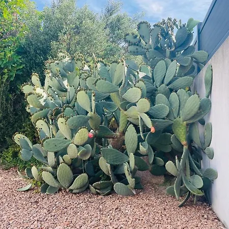 Porto-vecchio 4 Avec Piscine بورتو فيكشْيو
