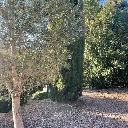 Porto-vecchio 4 Avec Piscine * Porto-Vecchio (Corsica)