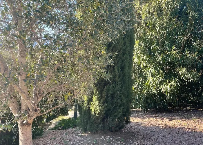 Porto-vecchio 4 Avec Piscine * 维琪奥港